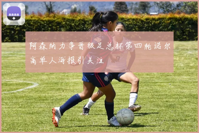 阿森纳力争晋级足总杯第四轮诺尔高单人海报引关注