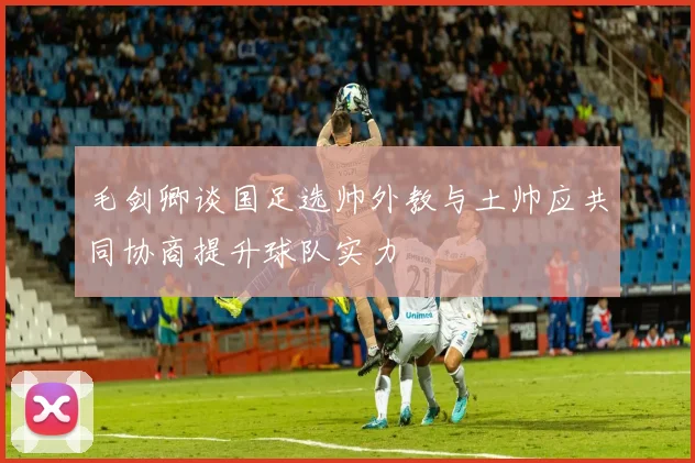 毛剑卿谈国足选帅外教与土帅应共同协商提升球队实力